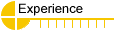 Experience